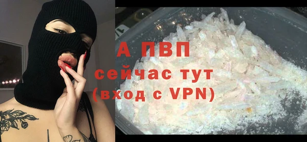 ешки Алексин