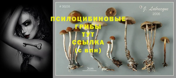 трава Алексеевка