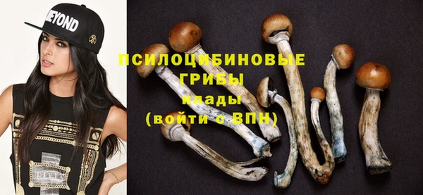 а пвп мука Алзамай