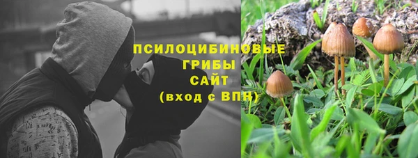 а пвп мука Алзамай