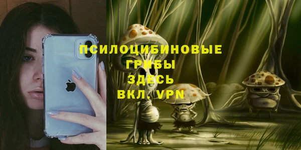 ешки Алексин