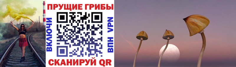 Псилоцибиновые грибы Magic Shrooms  Новоульяновск 